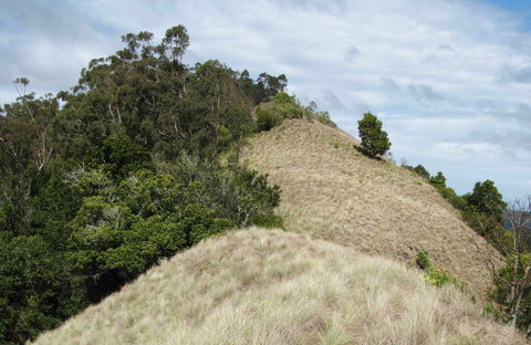 Pieries Peak Walking Track - Accommodation Noosa 0