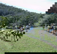 Timbertops - Horse Riding - Accommodation Noosa