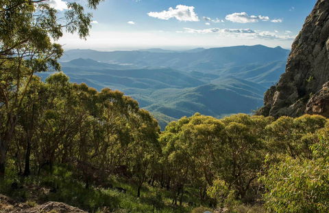 West Kaputar Lookout - Accommodation Noosa 0