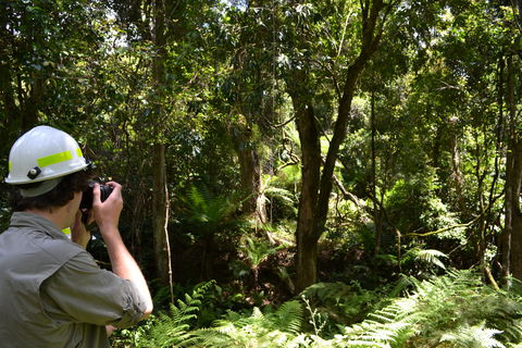 Alfred National Park - Accommodation Noosa 0