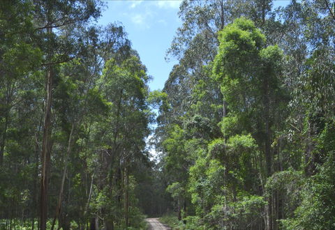 Alfred National Park - Accommodation Noosa 1
