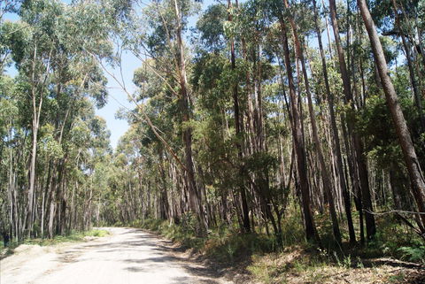 Alfred National Park - Accommodation Noosa 2