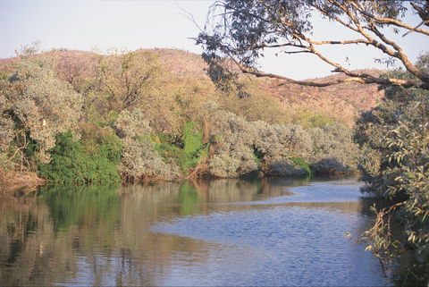 Alligator / Crocodile Hole - Accommodation Noosa 0