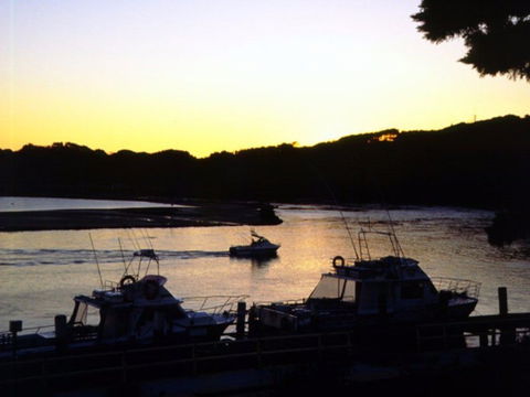 Apex Park Picnic Area Narooma - Accommodation Noosa 2