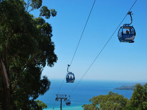 Arthurs Seat Eagle - Accommodation Noosa 0