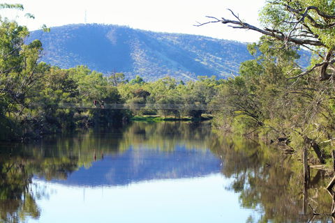Avon River Walk Trail And Janet Millet Lane - Accommodation Noosa 0