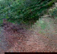 Cascade mountain bike trail