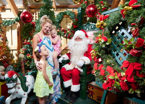 Christmas Tree Farm - Accommodation Noosa 2
