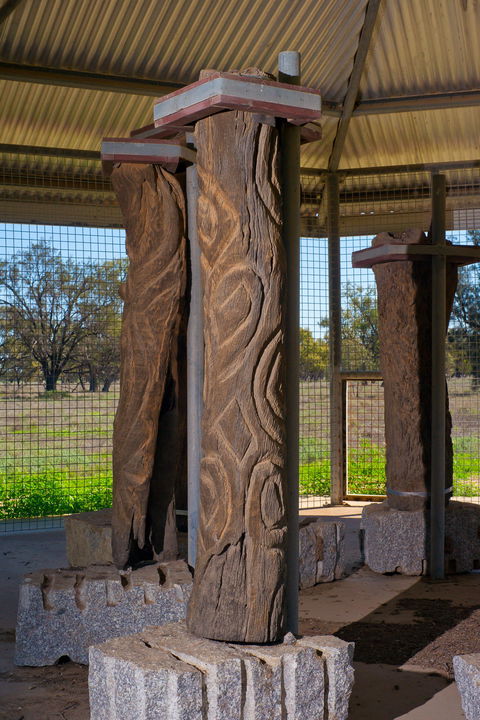 Collymongle Carved Trees - Accommodation Noosa 1