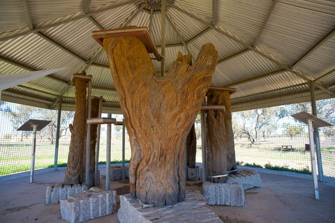 Collymongle Carved Trees - Accommodation Noosa 2