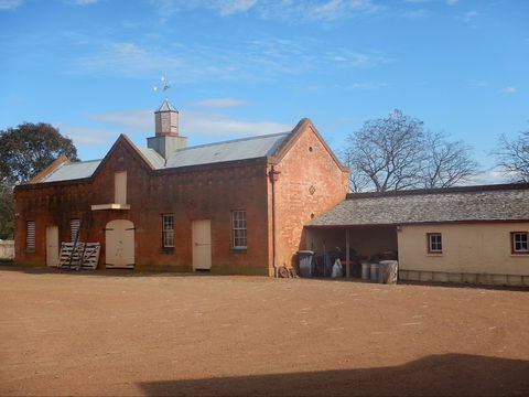 Cooma Cottage - Accommodation Noosa 1