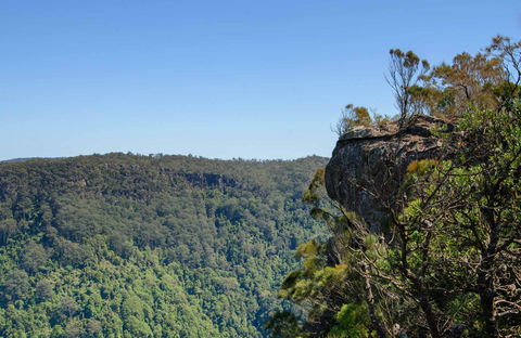Cooks Nose Walking Track - Accommodation Noosa 0
