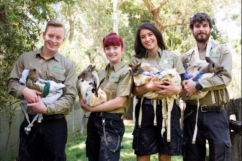 Featherdale Wildlife Park - Accommodation Noosa 0