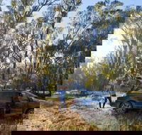 Forest Drive Murrumbidgee Valley National Park - Accommodation Noosa