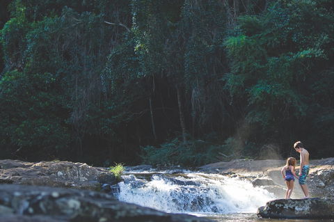 Gardners Falls - Accommodation Noosa 0