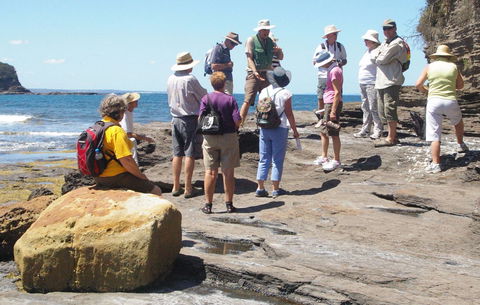 Gondwana Coast Fossil Walk - Accommodation Noosa 0