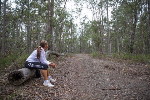Ironbark Ridge And Spotted Gum Walking Trails - Accommodation Noosa 1