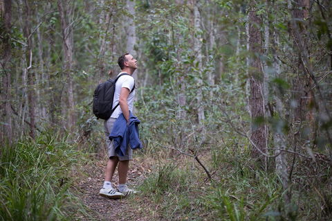 Ironbark Ridge And Spotted Gum Walking Trails - Accommodation Noosa 2