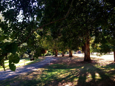 Mirimbah Park - Accommodation Noosa 0