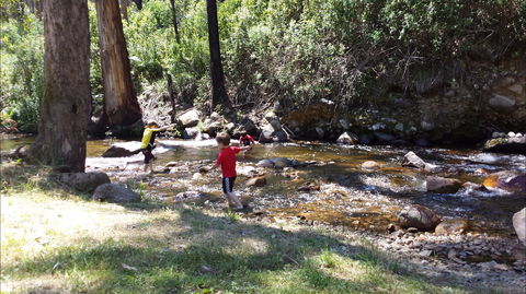 Mirimbah Park - Accommodation Noosa 1