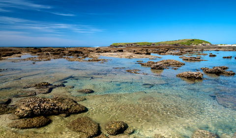 Moonee Beach Trail - Accommodation Noosa 0