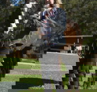 Otford Farm Horse Riding - Accommodation Noosa