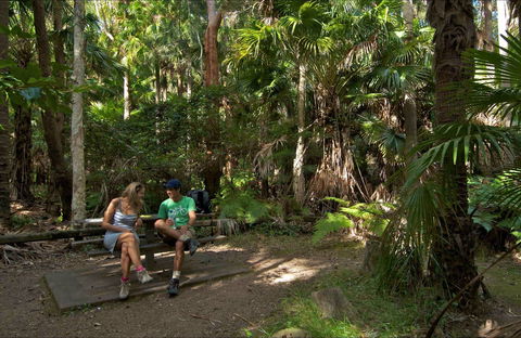 Palms Picnic Area - Accommodation Noosa 0