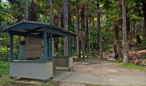 Palms Picnic Area - Accommodation Noosa 1