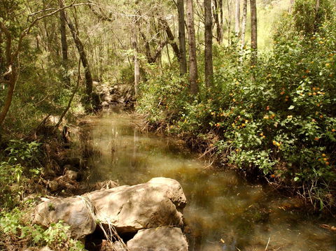 Sandy Creek Track - Accommodation Noosa 0