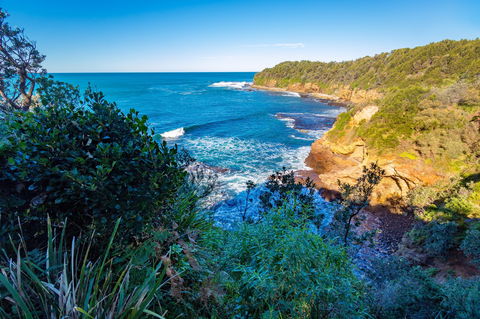 Shellgrit Beach (Red Head) - Accommodation Noosa 0