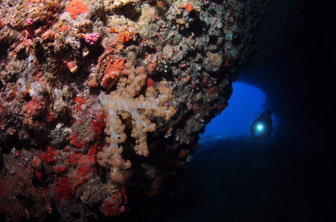 The Blowhole - Accommodation Noosa 0