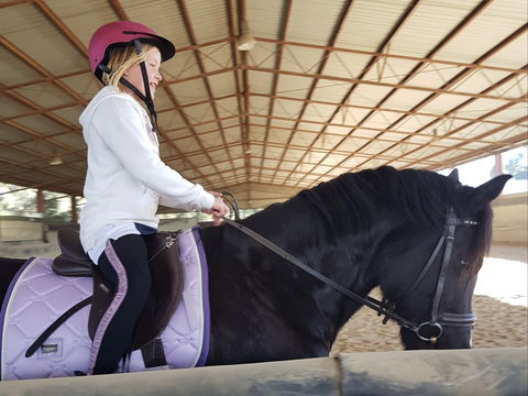 The Equine Club - Accommodation Noosa 1