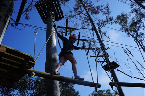 Trees Adventure Nowra Park - Accommodation Noosa 0