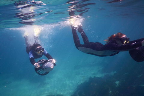 Small-Group Underwater Scooter Experience In Clovelly - Accommodation Noosa 0