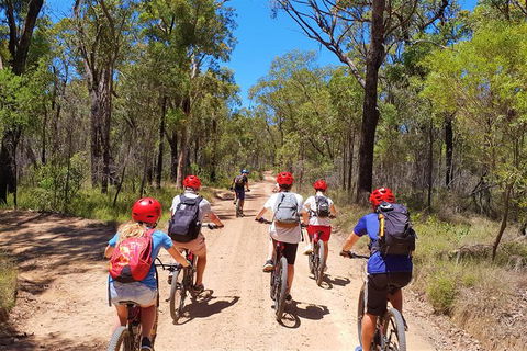 Blue Labyrinth Tour: Sydney Blue Mountains By E-Bike - Accommodation Noosa 1