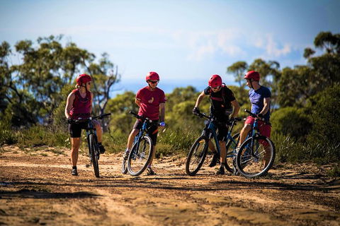 Blue Labyrinth Tour: Sydney Blue Mountains By E-Bike - Accommodation Noosa 3