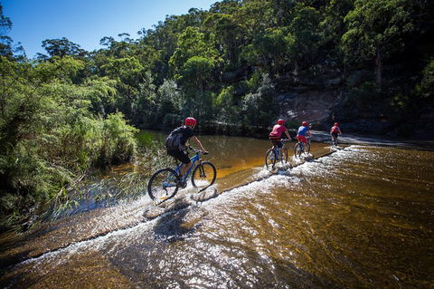 Blue Labyrinth Tour: Sydney Blue Mountains By E-Bike - Accommodation Noosa 7