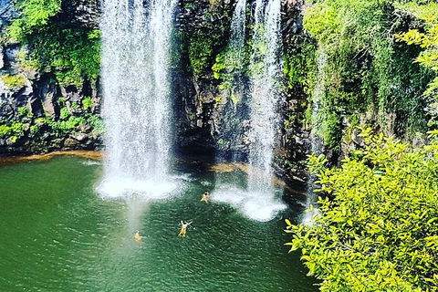 Rainforest & Waterfall Experience - Accommodation Noosa 2