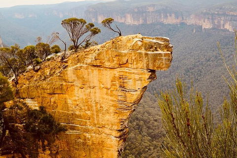 Blue Mountains Hanging Rock SELF-GUIDED Mountain Bike Hire Service - Accommodation Noosa 7