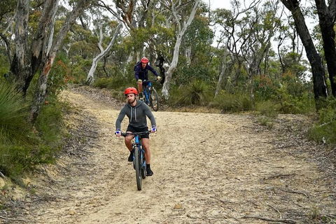 Blue Mountains Hanging Rock SELF-GUIDED Mountain Bike Hire Service - Accommodation Noosa 10
