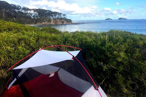 Batemans Bay Overnight Kayak Camping Tour - All Inclusive - Accommodation Noosa 0