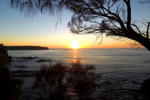 Batemans Bay Overnight Kayak Camping Tour - All Inclusive - Accommodation Noosa 1