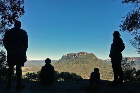 Glow Worm Tunnel Hike - Accommodation Noosa 2