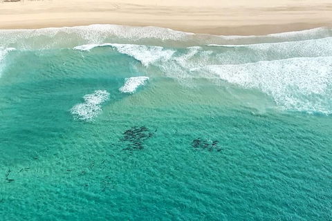 Coastal Helicopter Shared Flight - 20 Minutes - Accommodation Noosa 5