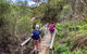 Blue Mountains Secret Places Adventure - thumb 4