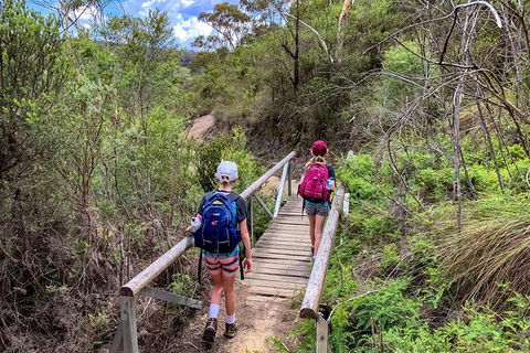 Blue Mountains Secret Places Adventure - Accommodation Noosa 4