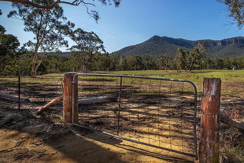 Blue Mountains Secret Places Adventure - Accommodation Noosa 3