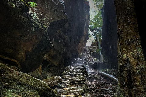 Blue Mountains Secret Places Adventure - Accommodation Noosa 2