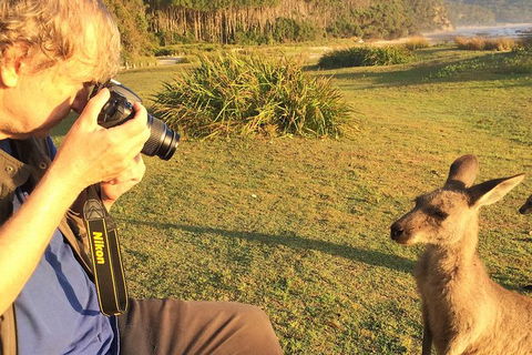 Highlights Of The Eurobodalla (half Day Private Tour) - Accommodation Noosa 2