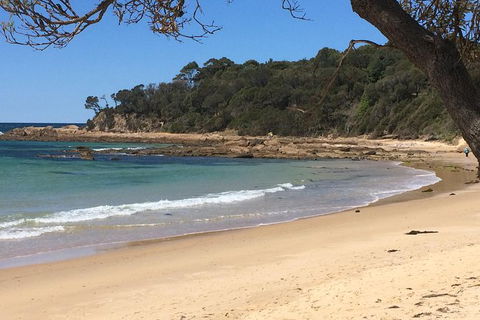 Highlights Of The Eurobodalla (half Day Private Tour) - Accommodation Noosa 5
